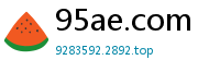 95ae.com